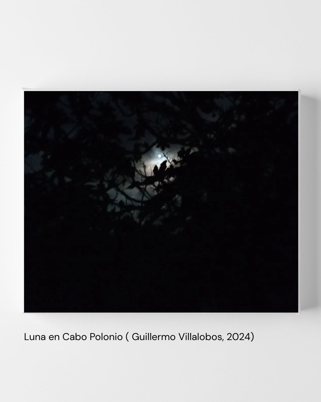 Luna en Cabo Polonio (Guillermo Villalobos, 2024)