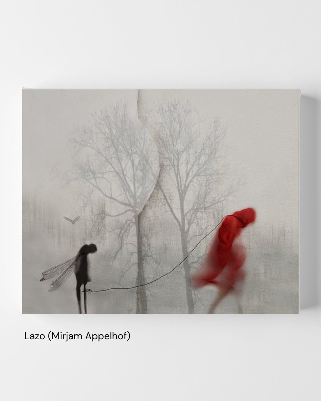 Lazo (Mirjam Appelhof, s/f)