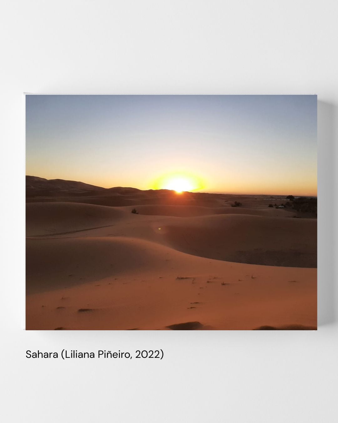 Sahara (Liliana Piñeiro, 2022)