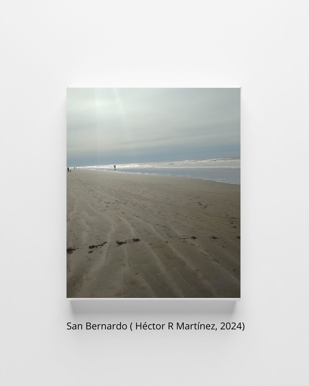 San Bernardo (Héctor R. Martínez, 2024)