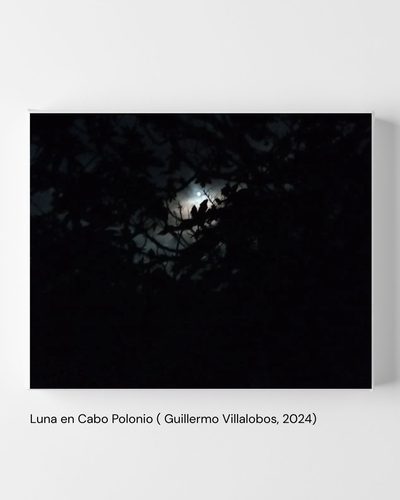 Luna en Cabo Polonio (Guillermo Villalobos, 2024)