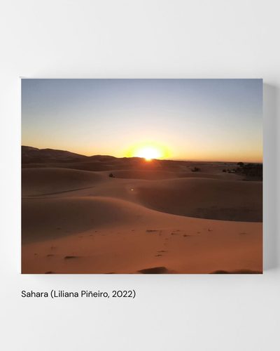 Sahara (Liliana Piñeiro, 2022)