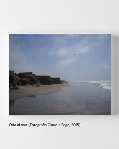 Oda al mar (Claudia Fogo, 2015)